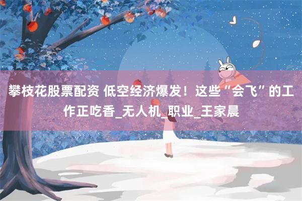 攀枝花股票配资 低空经济爆发！这些“会飞”的工作正吃香_无人机_职业_王家晨