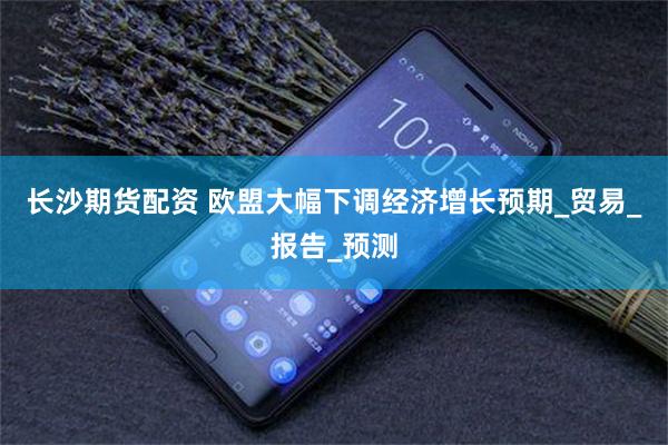 长沙期货配资 欧盟大幅下调经济增长预期_贸易_报告_预测