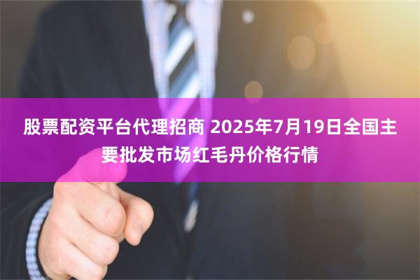 股票配资平台代理招商 2025年7月19日全国主要批发市场红毛丹价格行情