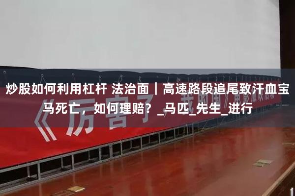 炒股如何利用杠杆 法治面｜高速路段追尾致汗血宝马死亡，如何理赔？_马匹_先生_进行