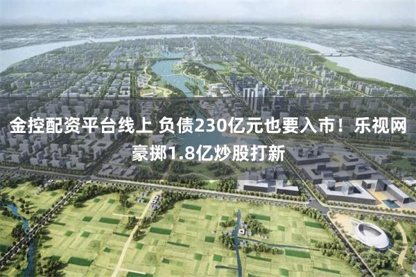 金控配资平台线上 负债230亿元也要入市!乐视网豪掷1.8亿炒股打新