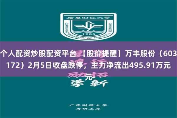 个人配资炒股配资平台 【股价提醒】万丰股份（603172）2月5日收盘跌停，主力净流出495.91万元