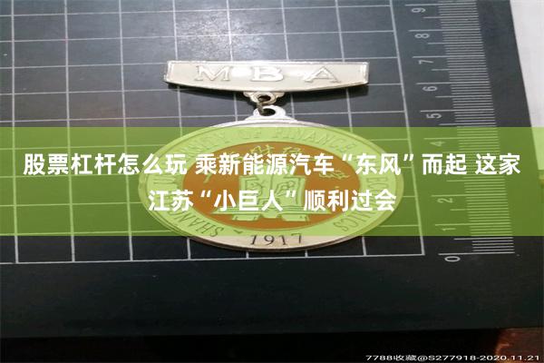 股票杠杆怎么玩 乘新能源汽车“东风”而起 这家江苏“小巨人”顺利过会