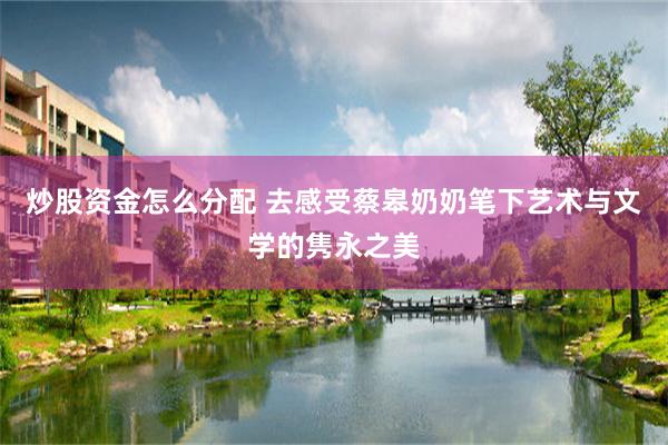 炒股资金怎么分配 去感受蔡皋奶奶笔下艺术与文学的隽永之美