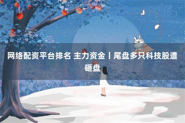 网络配资平台排名 主力资金丨尾盘多只科技股遭砸盘