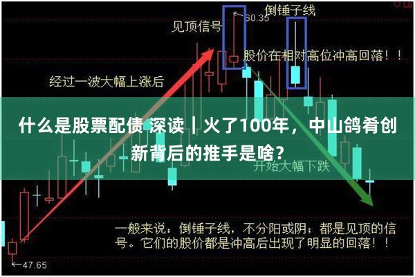 什么是股票配债 深读｜火了100年，中山鸽肴创新背后的推手是啥？