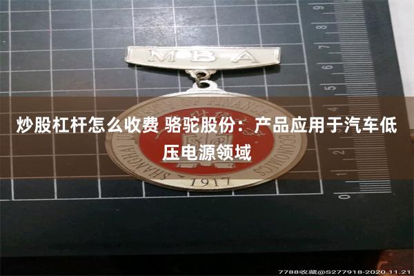 炒股杠杆怎么收费 骆驼股份：产品应用于汽车低压电源领域