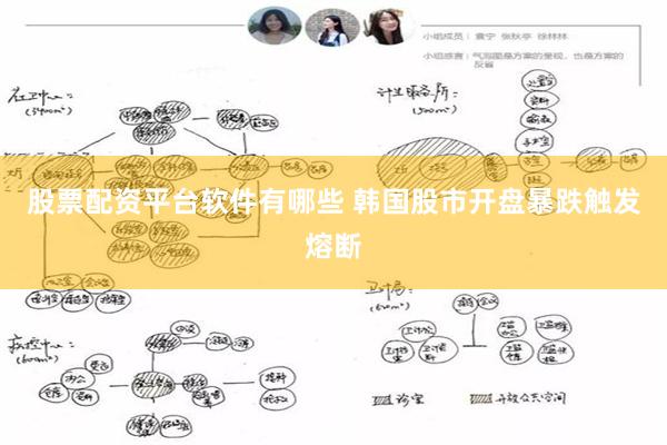 股票配资平台软件有哪些 韩国股市开盘暴跌触发熔断