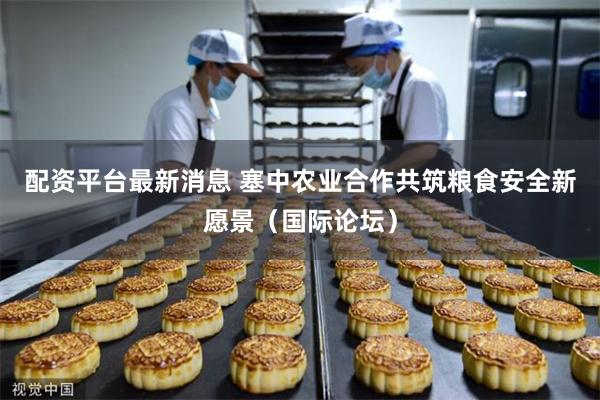 配资平台最新消息 塞中农业合作共筑粮食安全新愿景（国际论坛）