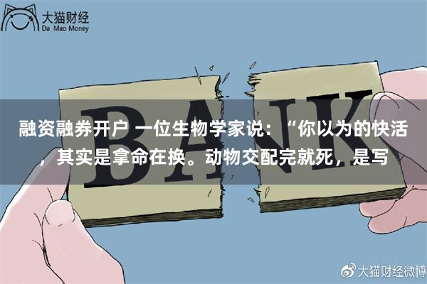 融资融券开户 一位生物学家说：“你以为的快活，其实是拿命在换。动物交配完就死，是写