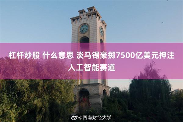 杠杆炒股 什么意思 淡马锡豪掷7500亿美元押注人工智能赛道