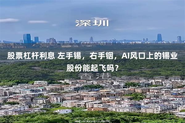 股票杠杆利息 左手锡，右手铟，AI风口上的锡业股份能起飞吗？