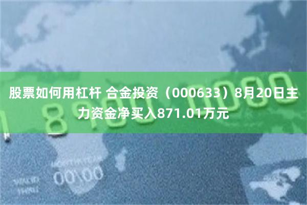股票如何用杠杆 合金投资（000633）8月20日主力资金净买入871.01万元