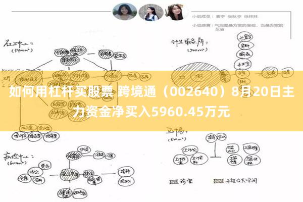 如何用杠杆买股票 跨境通（002640）8月20日主力资金净买入5960.45万元