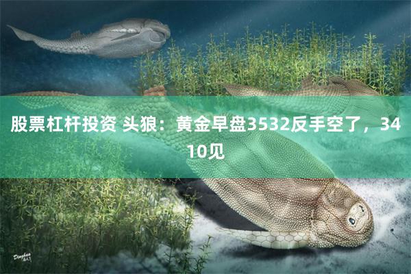 股票杠杆投资 头狼：黄金早盘3532反手空了，3410见