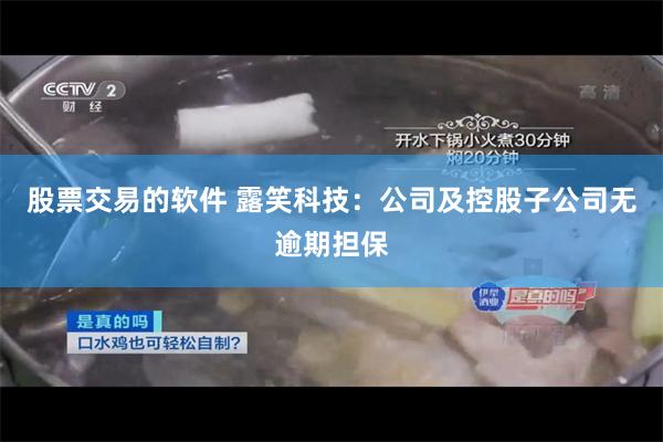 股票交易的软件 露笑科技：公司及控股子公司无逾期担保