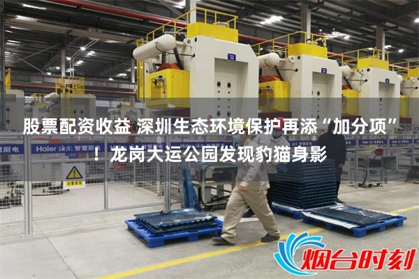 股票配资收益 深圳生态环境保护再添“加分项”！龙岗大运公园发现豹猫身影