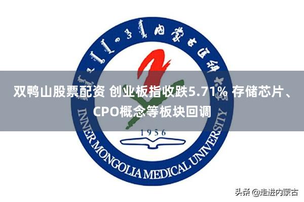 双鸭山股票配资 创业板指收跌5.71% 存储芯片、CPO概念等板块回调