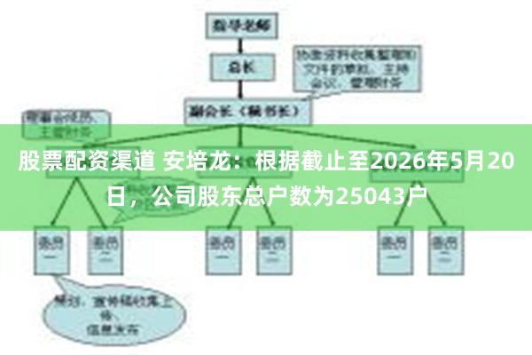 股票配资渠道 安培龙：根据截止至2026年5月20日，公司股东总户数为25043户