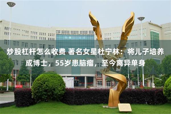 炒股杠杆怎么收费 著名女星杜宁林：将儿子培养成博士，55岁患脑瘤，至今离异单身