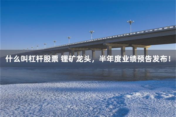 什么叫杠杆股票 锂矿龙头，半年度业绩预告发布！