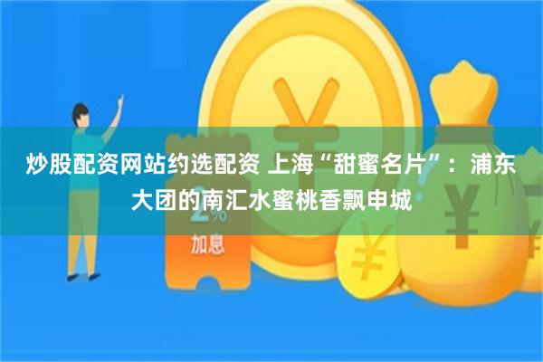 炒股配资网站约选配资 上海“甜蜜名片”：浦东大团的南汇水蜜桃香飘申城