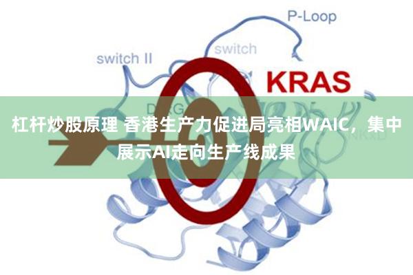杠杆炒股原理 香港生产力促进局亮相WAIC，集中展示AI走向生产线成果