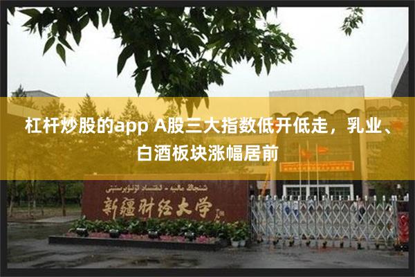 杠杆炒股的app A股三大指数低开低走,乳业、白酒板块涨幅居前