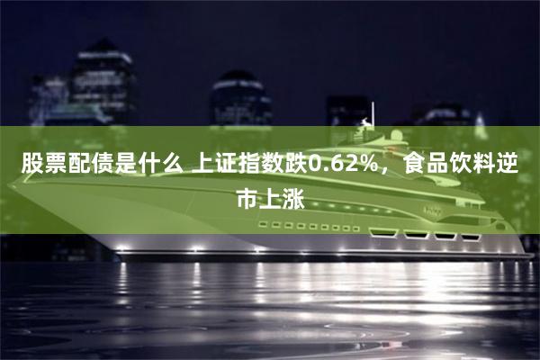 股票配债是什么 上证指数跌0.62%，食品饮料逆市上涨