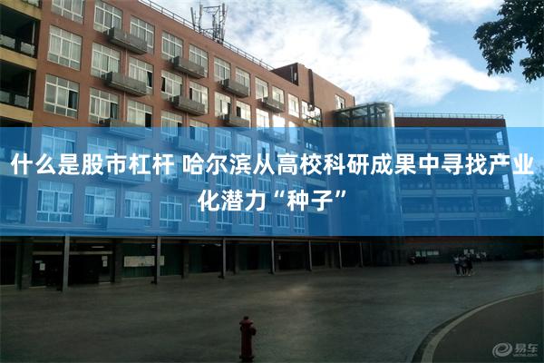 什么是股市杠杆 哈尔滨从高校科研成果中寻找产业化潜力“种子”