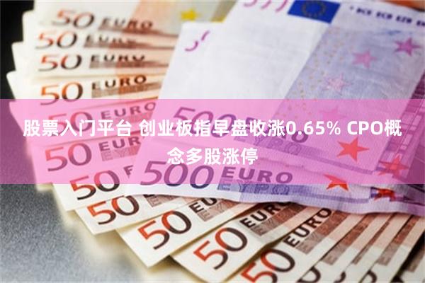 股票入门平台 创业板指早盘收涨0.65% CPO概念多股涨停
