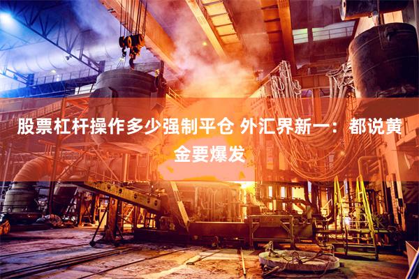 股票杠杆操作多少强制平仓 外汇界新一：都说黄金要爆发
