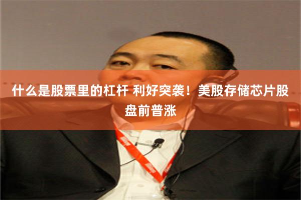 什么是股票里的杠杆 利好突袭！美股存储芯片股盘前普涨