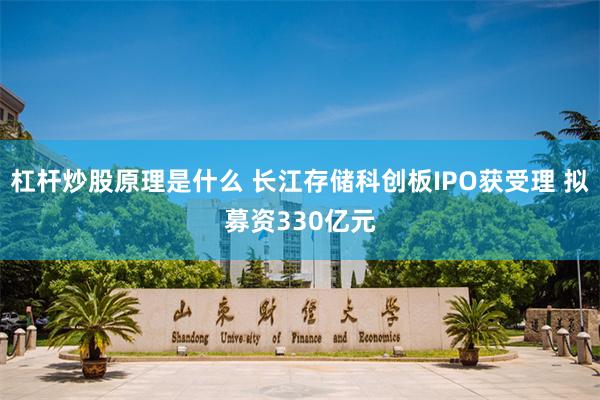 杠杆炒股原理是什么 长江存储科创板IPO获受理 拟募资330亿元