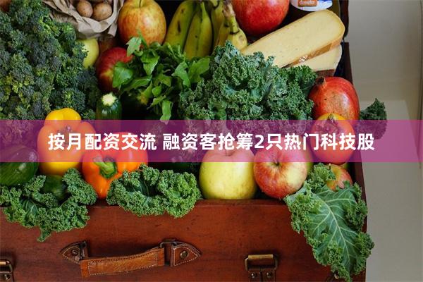 按月配资交流 融资客抢筹2只热门科技股