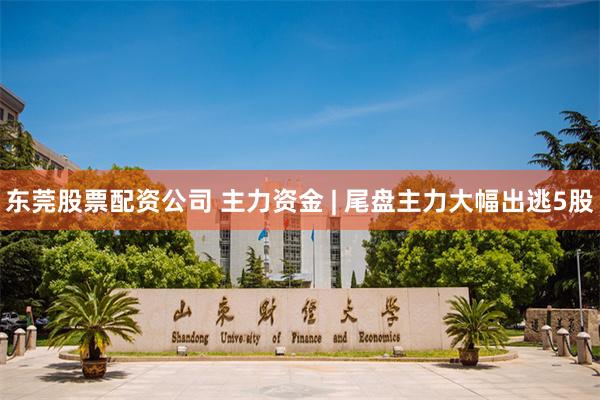 东莞股票配资公司 主力资金 | 尾盘主力大幅出逃5股
