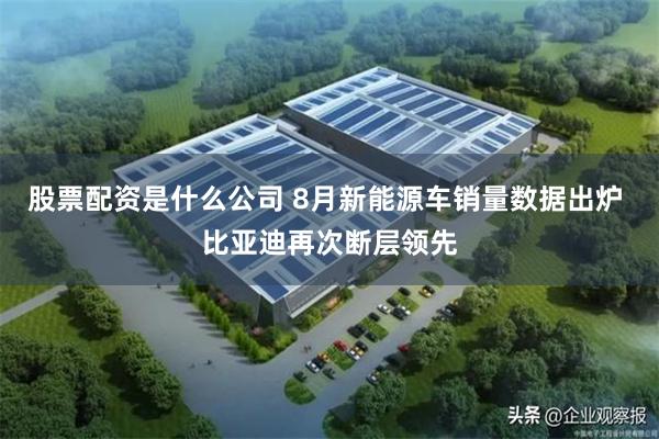 股票配资是什么公司 8月新能源车销量数据出炉 比亚迪再次断层领先