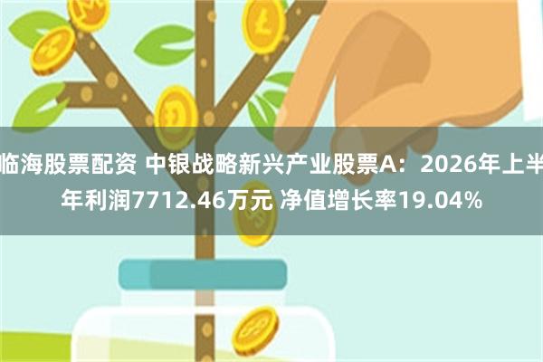 临海股票配资 中银战略新兴产业股票A：2026年上半年利润7712.46万元 净值增长率19.04%