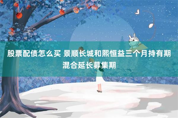 股票配债怎么买 景顺长城和熙恒益三个月持有期混合延长募集期