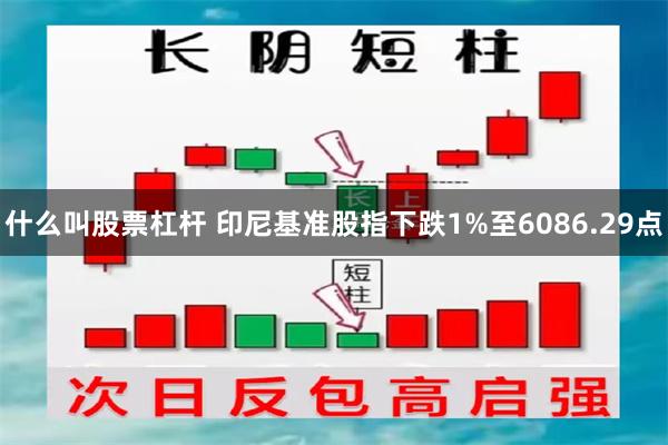 什么叫股票杠杆 印尼基准股指下跌1%至6086.29点