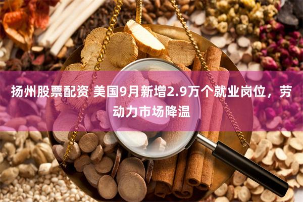 扬州股票配资 美国9月新增2.9万个就业岗位，劳动力市场降温