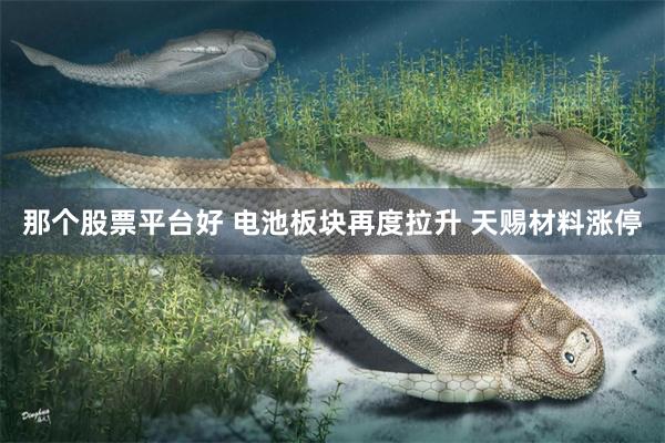 那个股票平台好 电池板块再度拉升 天赐材料涨停