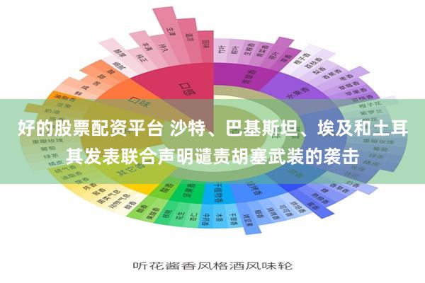 好的股票配资平台 沙特、巴基斯坦、埃及和土耳其发表联合声明谴责胡塞武装的袭击