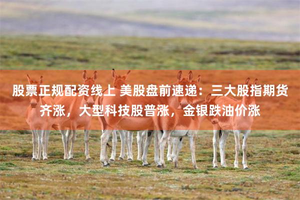 股票正规配资线上 美股盘前速递:三大股指期货齐涨,大型科技股普涨,金银跌油价涨