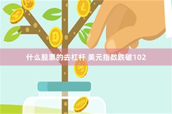 什么股票的去杠杆 美元指数跌破102